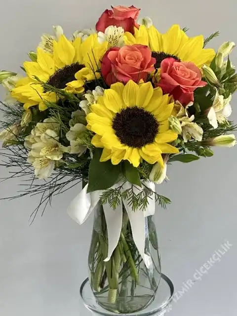1695337025249.webp