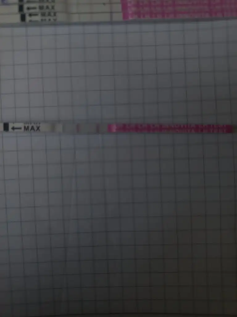 16958051913277514494745021906923.webp