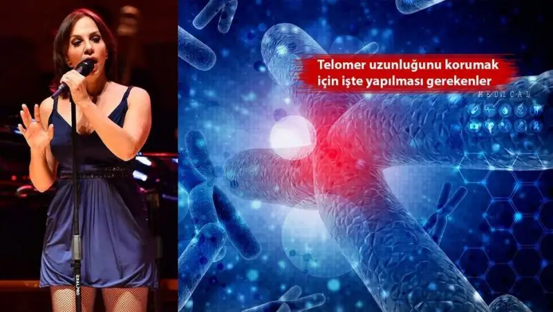 1699197_940x531.webp