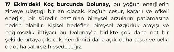 17 ek koç dolunay (1).webp