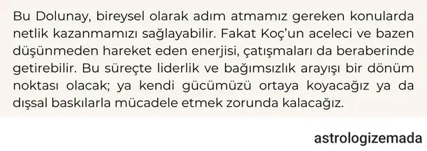 17 ek koç dolunay (2).webp