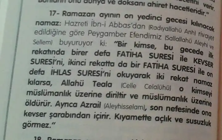 17.webp