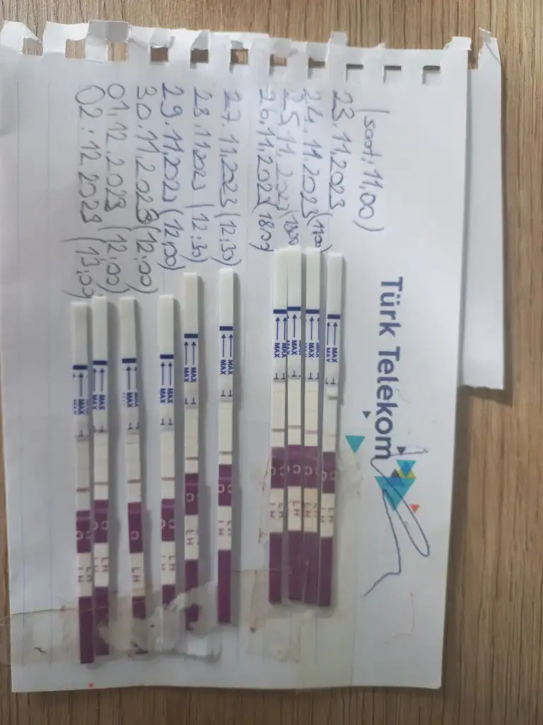 17015150639867089230849127571068.webp