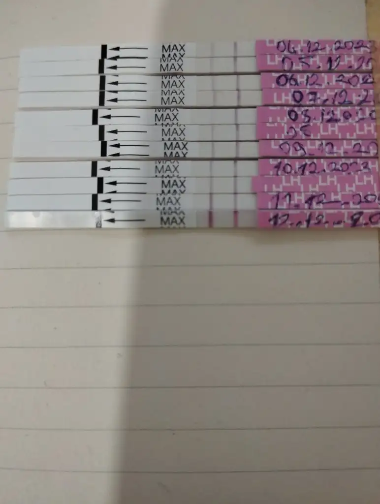17023909899161057221908907177966.webp