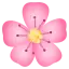 1702447810191.webp