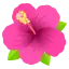 1702649897890.webp