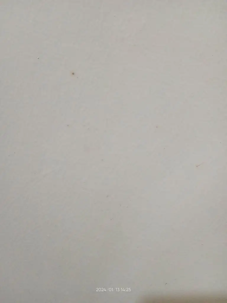 17051450836603449062161907418995.webp
