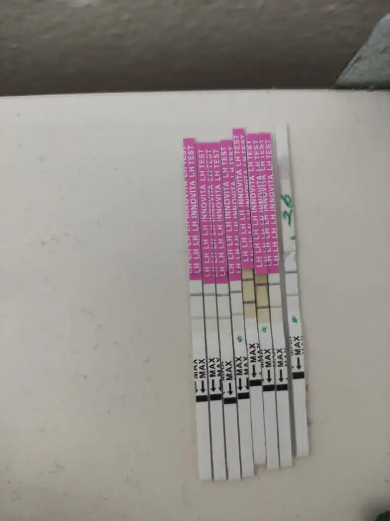 17064600163931225718877895797731.webp