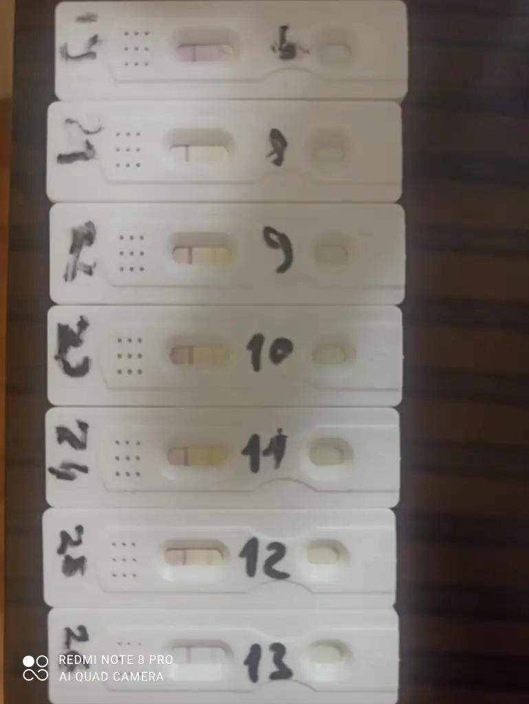 17089595704694636985896621739634-jpg.3393287