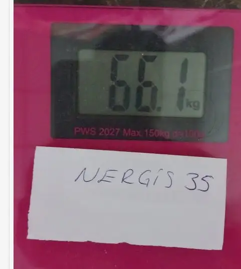 1725966706966.jpeg