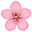 1726205463919.webp