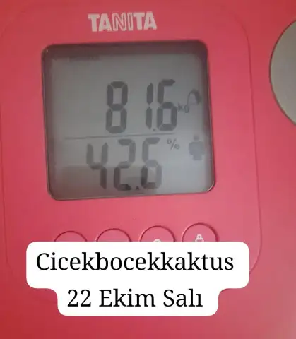 1729597833332.webp