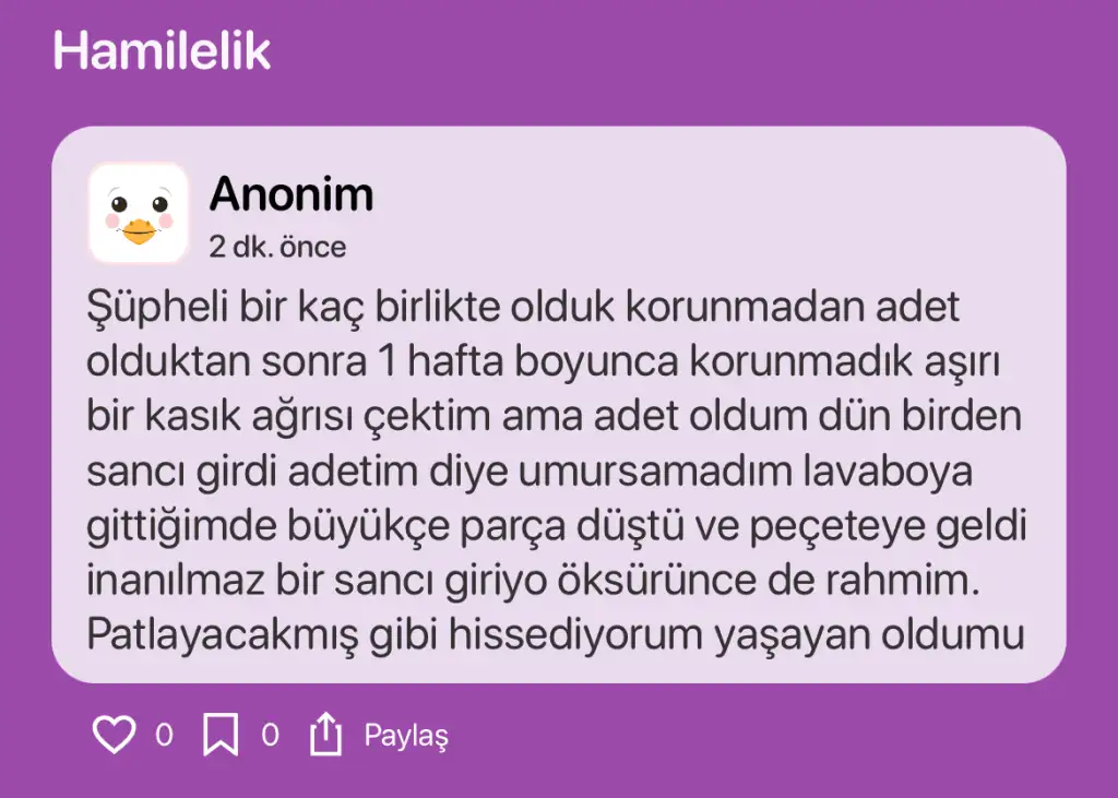 1731477148965.webp