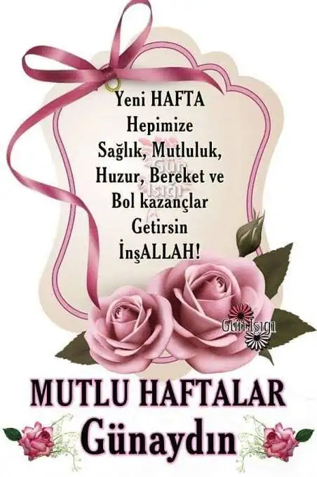 1733725370244.webp