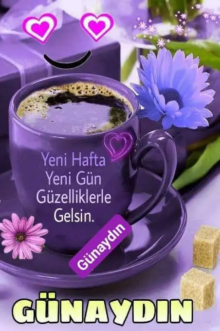 1736142146779.webp