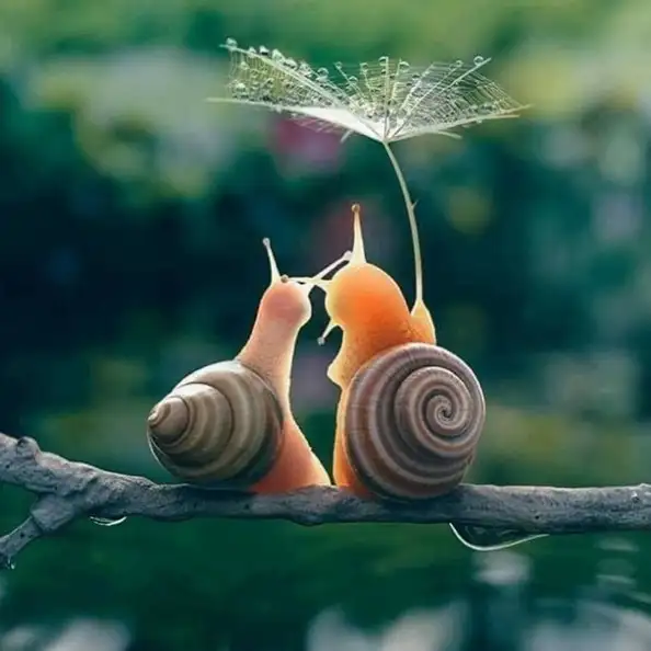 173F1066-BDF4-4D26-A895-4C4F0AE14C7E.webp