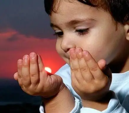 1742466042242.webp