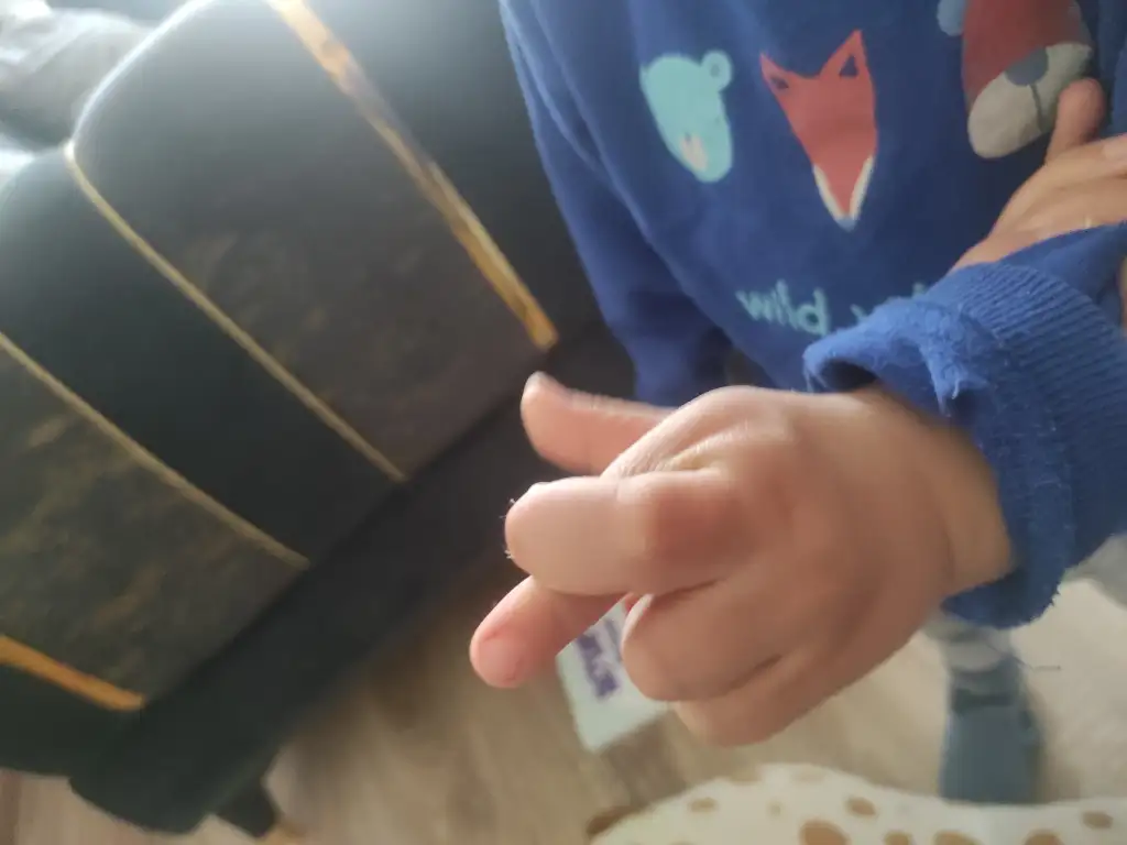 17431697421602423531241375576244.webp