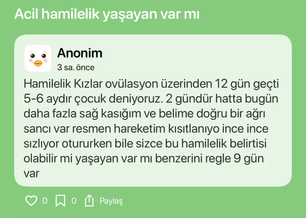 1743540068372.webp