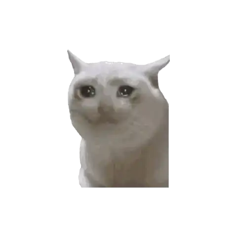 1744394331339.webp