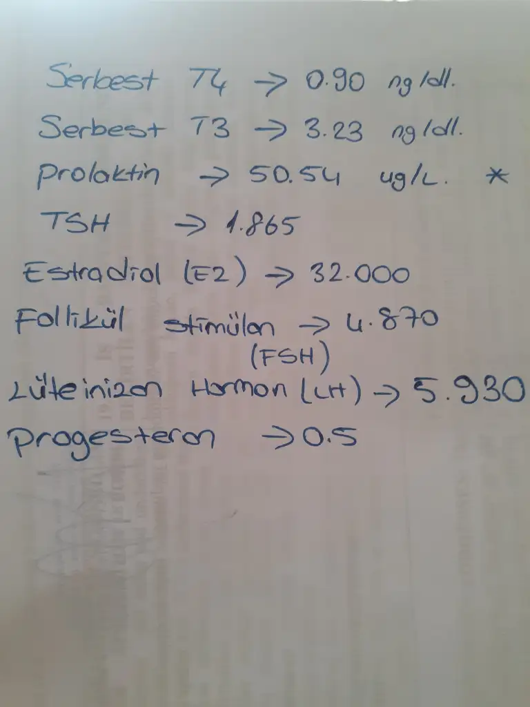 17448965583696731499159224527032.webp