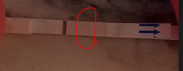 1750343619169.webp