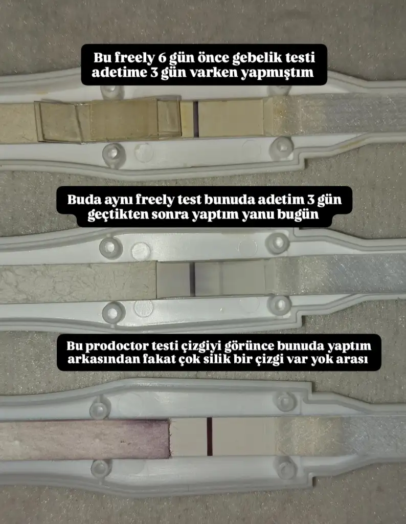 1752274850447.webp