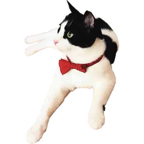 1752903152862.webp