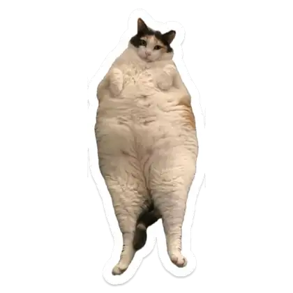 1753862833885.webp