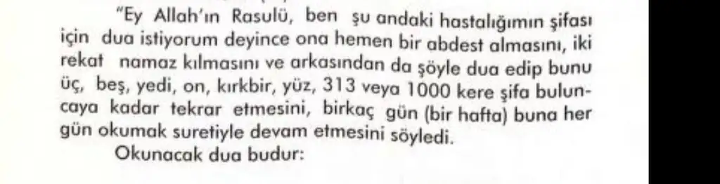 1785388660913.webp