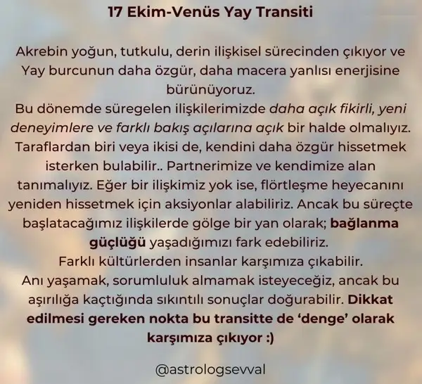 17ven yay6.webp