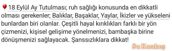 18 eyl.webp
