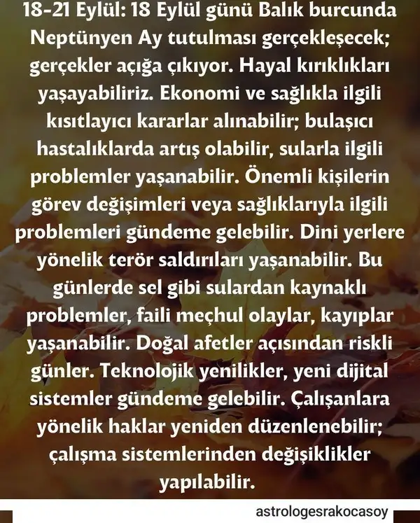 18 eyl.webp
