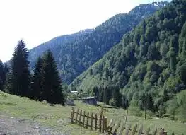 18.webp