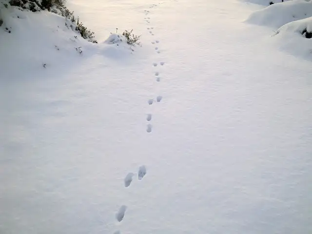 180120122601.webp