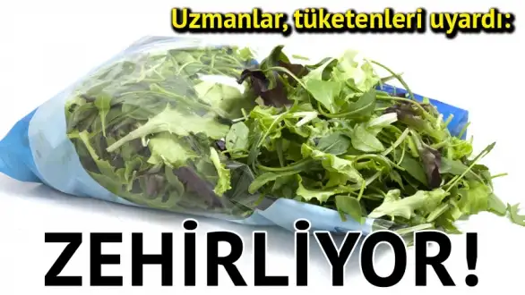181463_uzmanlar-uyardi-paketlenmis-yesilliklerde-salmonella-riski-var_1.webp