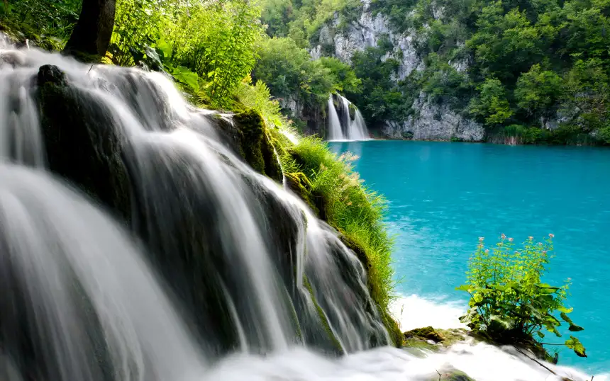 1821368.webp