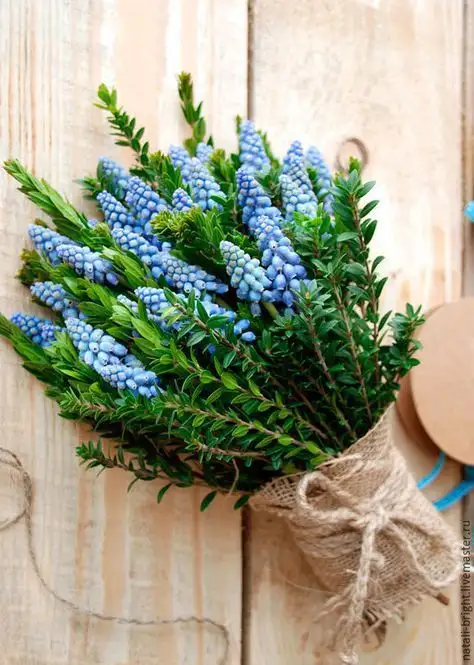 185afe71602c514bb461655c87d6ada1.webp