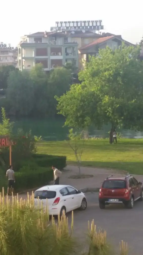 186.webp