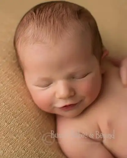 18_496x620.webp