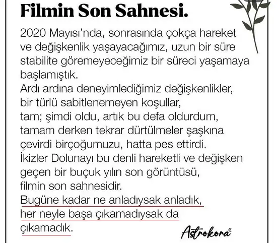 19 1 (1).webp