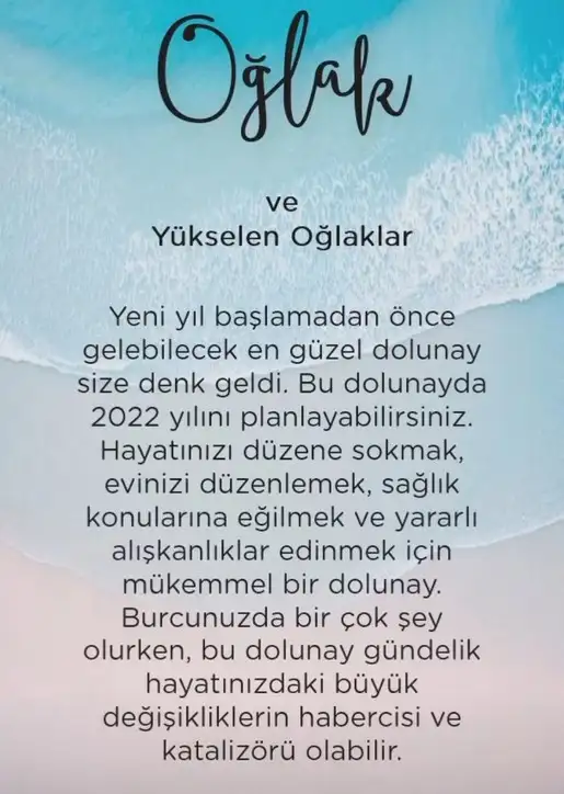 19 1 (10).jpg