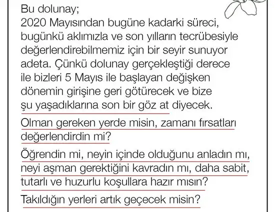 19 1 (2).webp