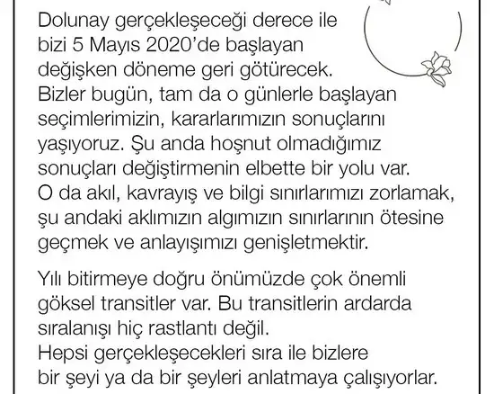 19 1 (3).webp