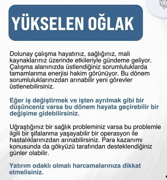 19 10 (11).webp