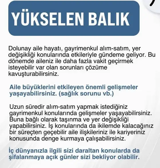 19 10 (13).webp