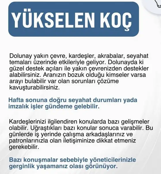 19 10 (2).webp