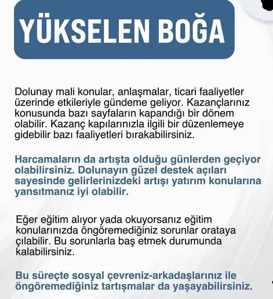 19 10 (3).webp