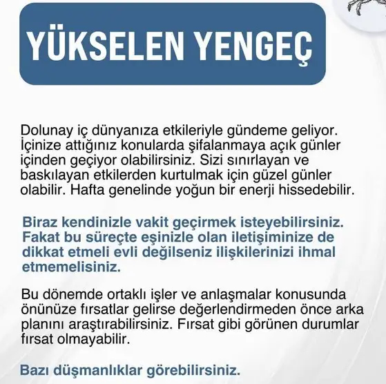 19 10 (5).webp