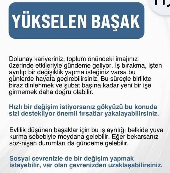 19 10 (7).webp